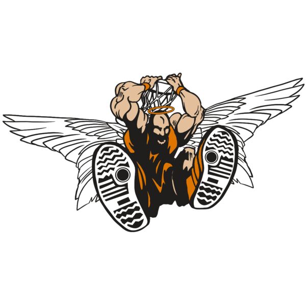 AR17 ANGEL BSKT 07 RQC Thumbnail