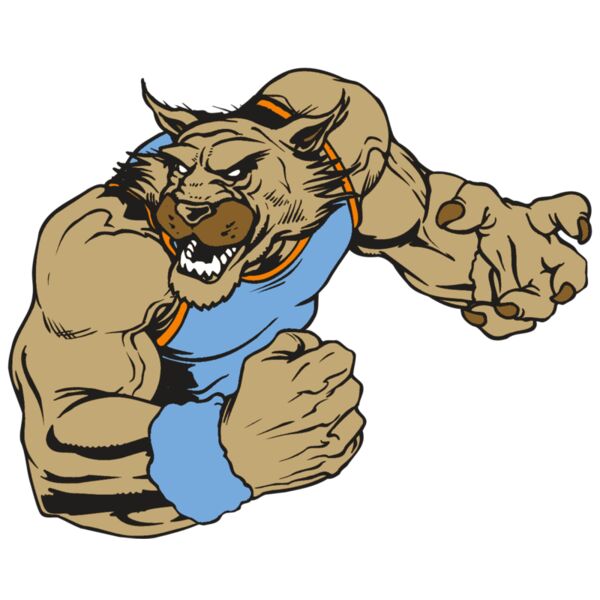 AR WILDCAT 46 RC Thumbnail