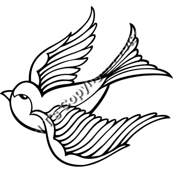 ESswallow001bw Thumbnail