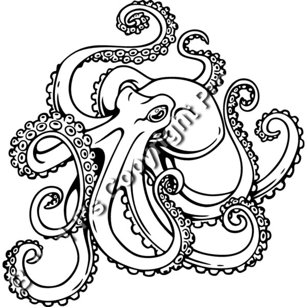 ESoctopus001bw Thumbnail