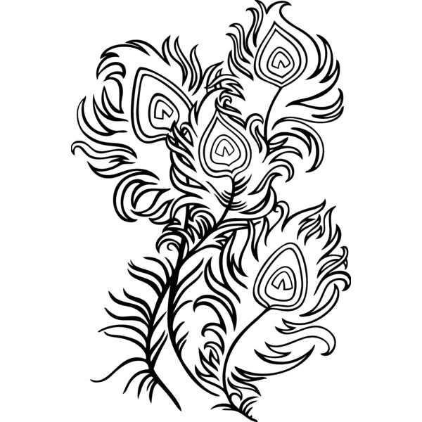 ESfeathers002bw Thumbnail