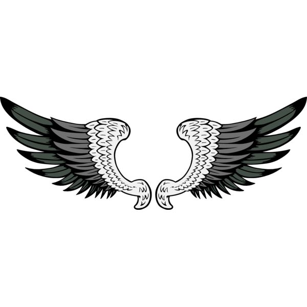 ES2wings029clr Thumbnail