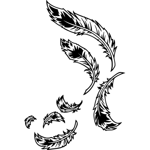 ES2feathers003BW Thumbnail