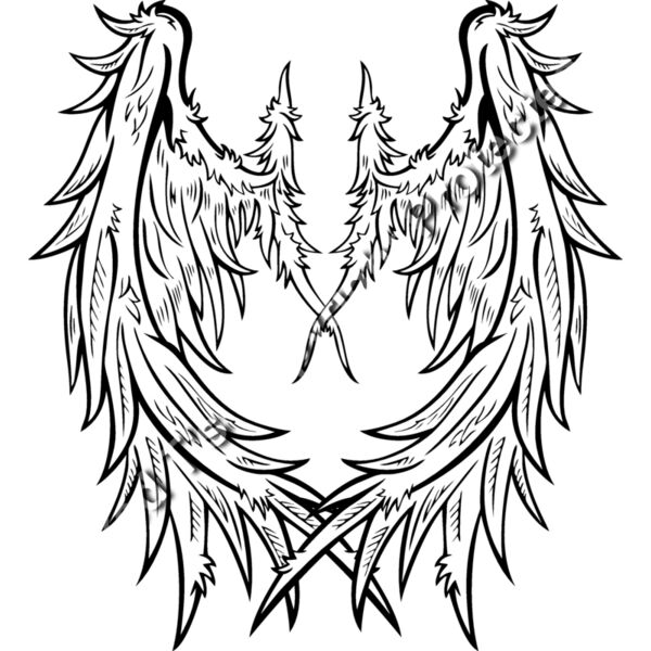 ES2wings026BW Thumbnail