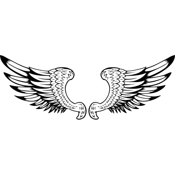 ES2wings029bw Thumbnail