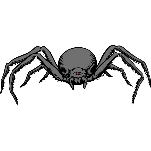 ES2spider007clr Thumbnail