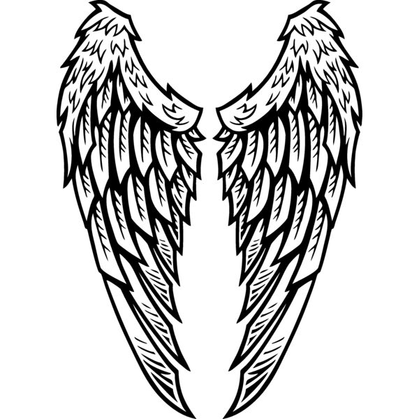 ES2wings022BW Thumbnail