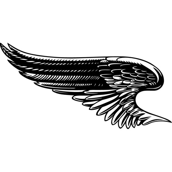 ES2wings027bw Thumbnail