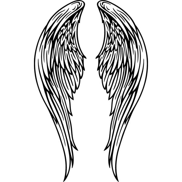 ES2wings018BW Thumbnail