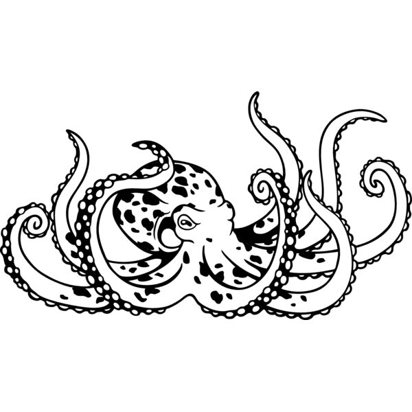 ES2octopus001BW Thumbnail