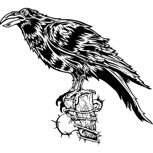 ES2raven001BW Thumbnail