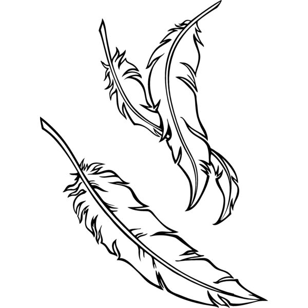 ES2feathers001bw Thumbnail