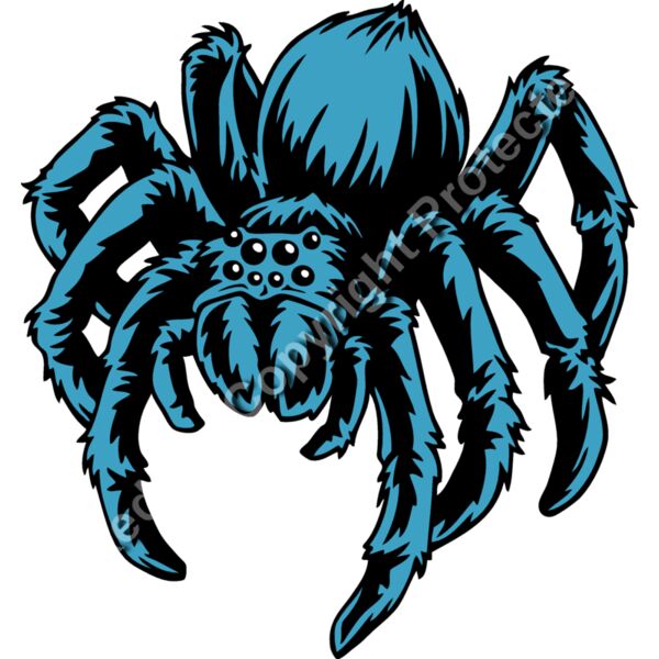 ES2spider005CLR Thumbnail