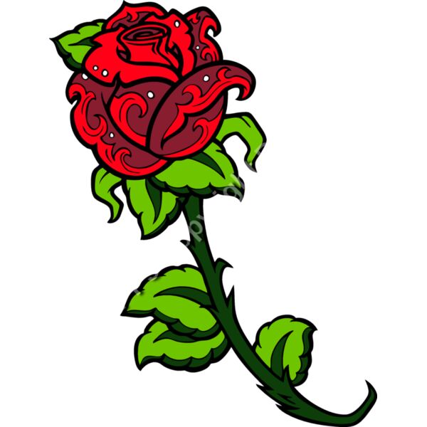 ES2rose006clr Thumbnail