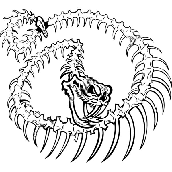 ES2snake005BW Thumbnail