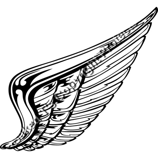 ES2wings008BW Thumbnail