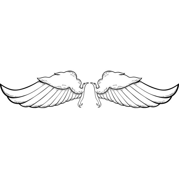 ES2wings006BW Thumbnail