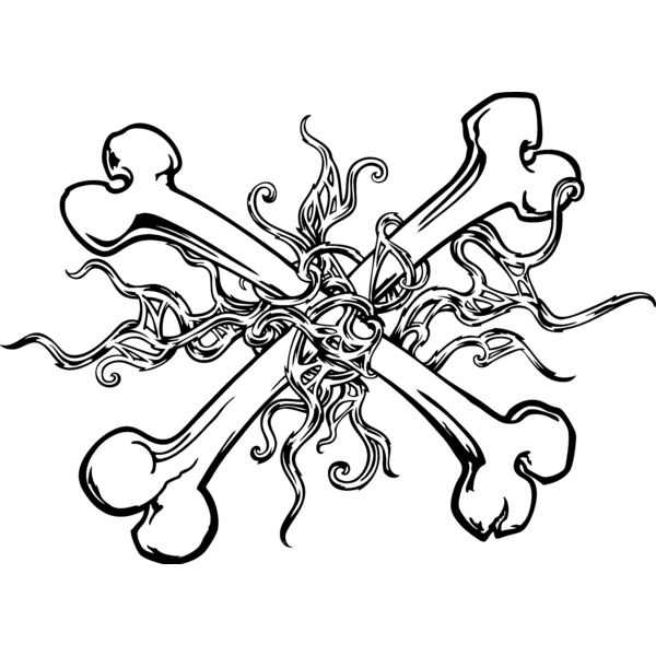 ES2bones005bw Thumbnail