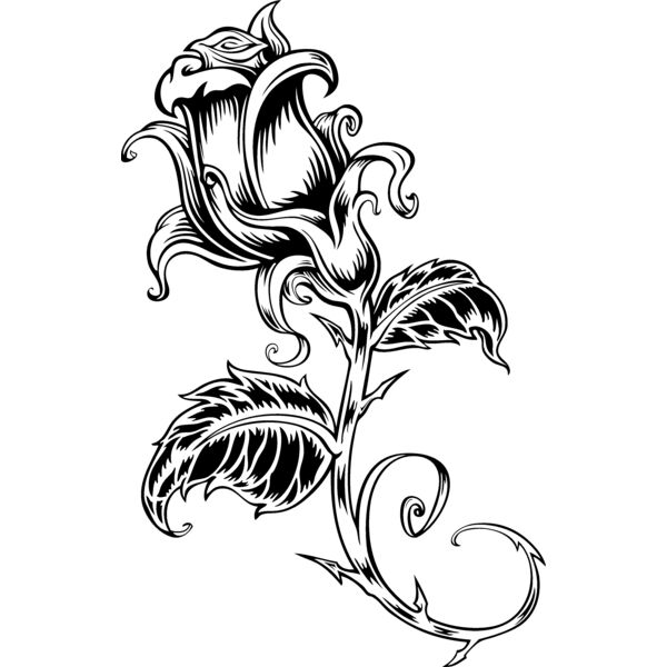 ES2rose001BW Thumbnail