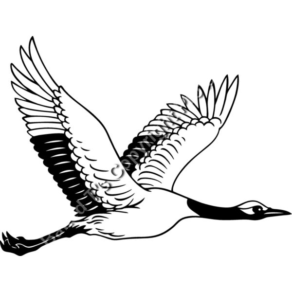 ES2crane001BW Thumbnail