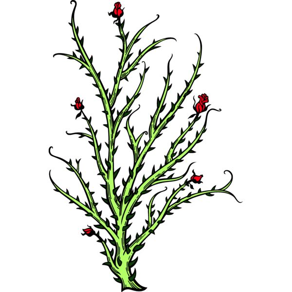 ES2thorns004clr Thumbnail