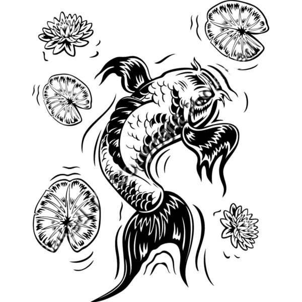 ES2asiankoi003BW Thumbnail