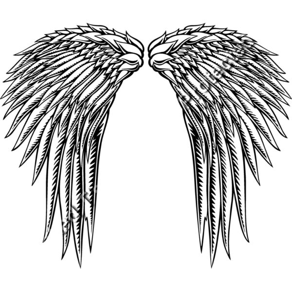 ES2wings014bw Thumbnail