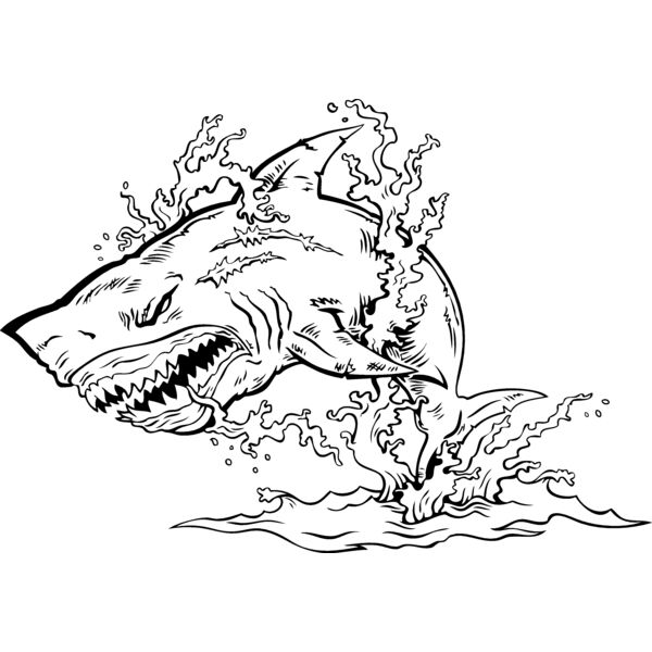 ES2shark001BW Thumbnail