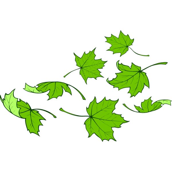 ES2leaves001clr Thumbnail