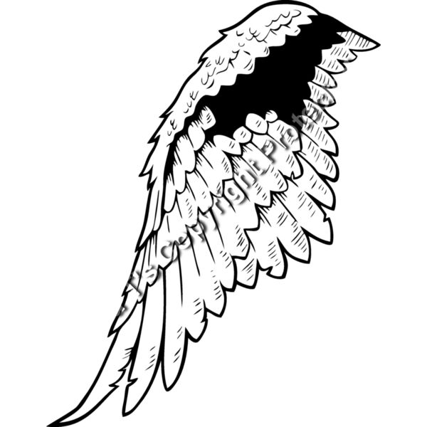 ES2wings005BW Thumbnail