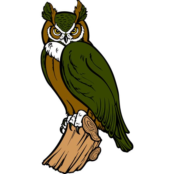 ES2owl002clr Thumbnail