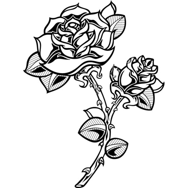 ES2rose003bw Thumbnail