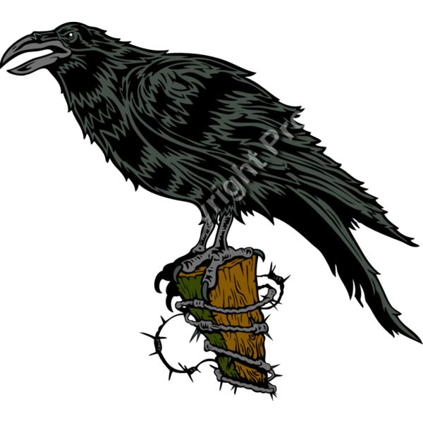 ES2raven001clr Thumbnail