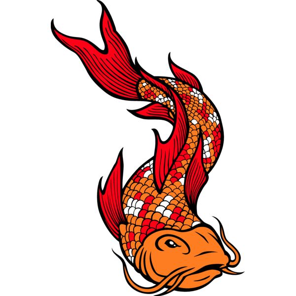 ES2asiankoi002CLR Thumbnail