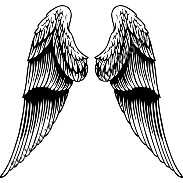 ES2wings031BW Thumbnail