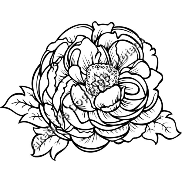 ES2flower002bw Thumbnail