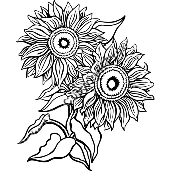 ES2flower006bw Thumbnail