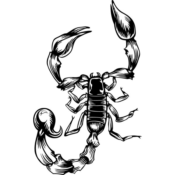 ES2scorpion001bw Thumbnail