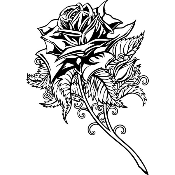 ES2rose008bw Thumbnail