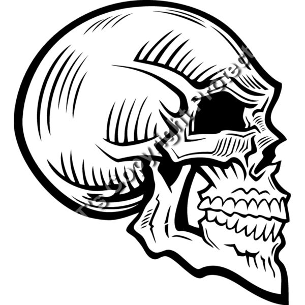 ES2skull025BW Thumbnail