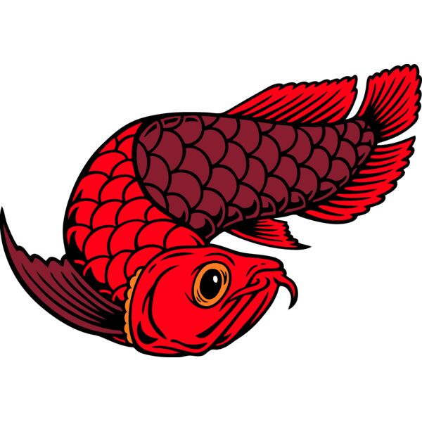 ES2arowana001CLR Thumbnail