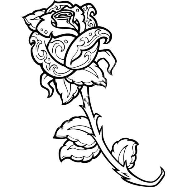 ES2rose006bw Thumbnail