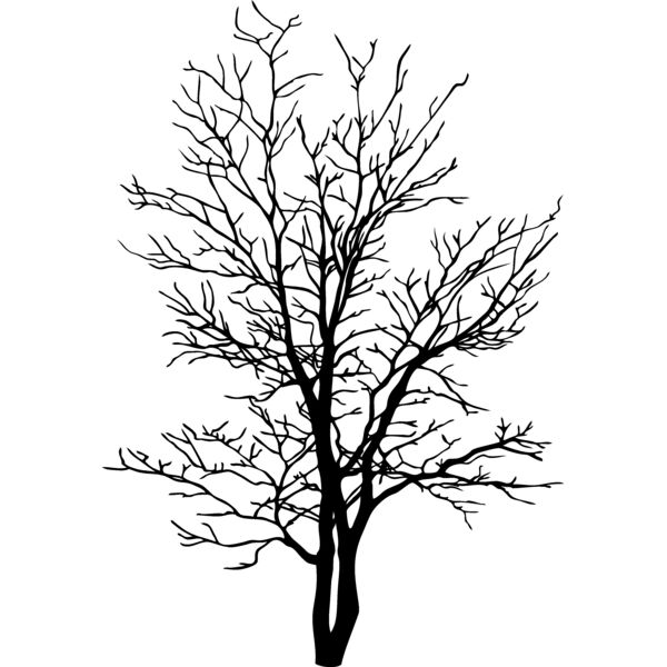 ES2tree007bw Thumbnail
