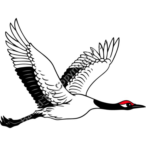 ES2crane001CLR Thumbnail