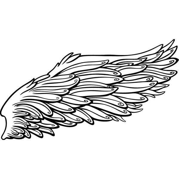 ES2wings024bw Thumbnail