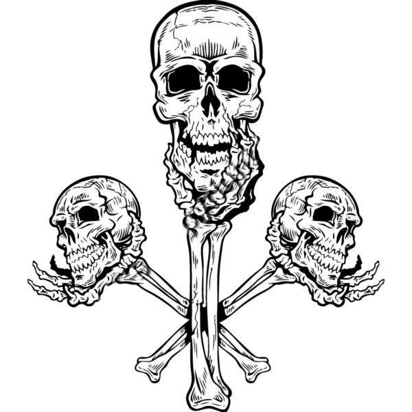 ES2bones002BW Thumbnail