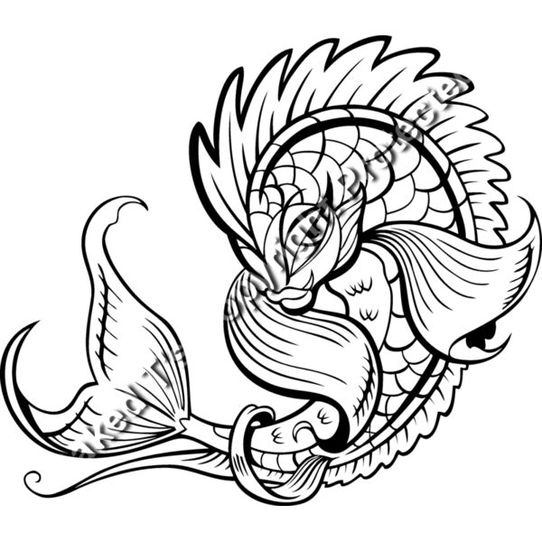 ES3asiankoi06BW Thumbnail