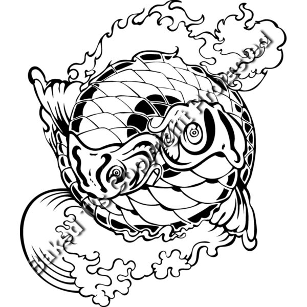 ES3asiankoi05bw Thumbnail