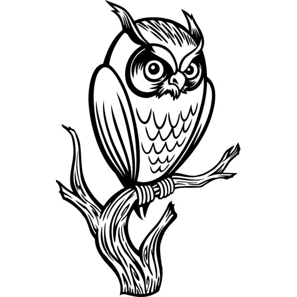 ES3owl01bw Thumbnail