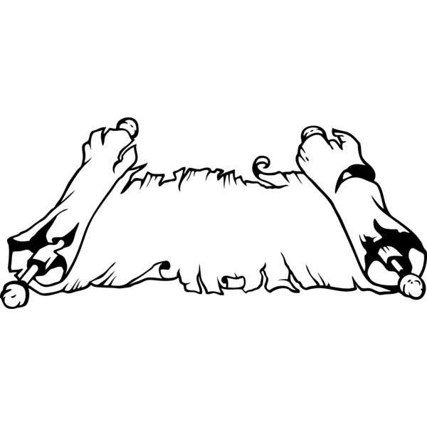 ES3scroll01bw Thumbnail